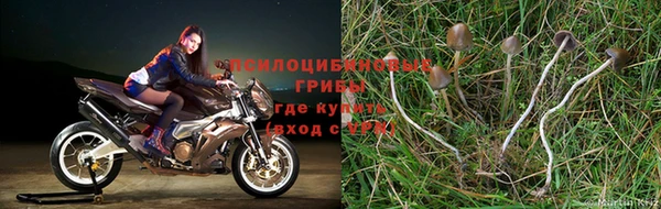 таблы Слюдянка